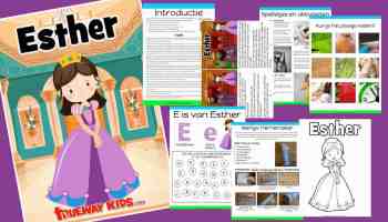 De Rode Zee Trueway Kids