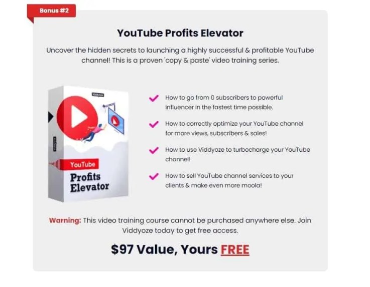 YouTube Profits Elevator