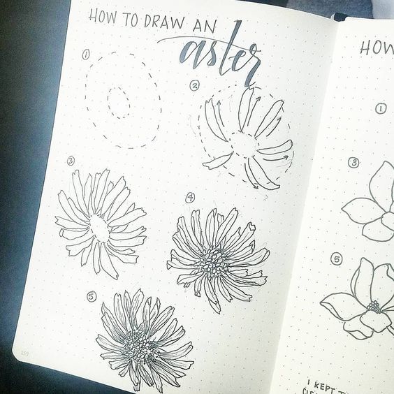 spring bullet journal set up ideas  planning mindfully