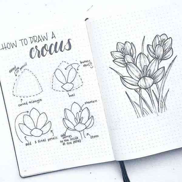 How To Draw Easy Flower Doodles For Bullet Journal Spreads Get use to drawing single flowers. how to draw easy flower doodles for