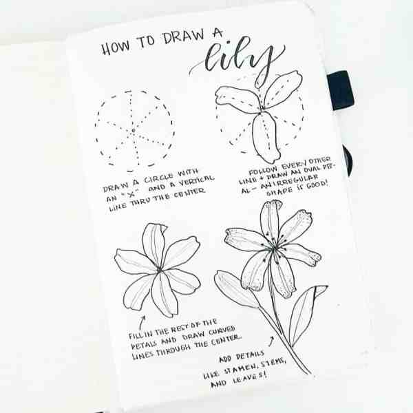 How To Draw Easy Flower Doodles For Bullet Journal Spreads