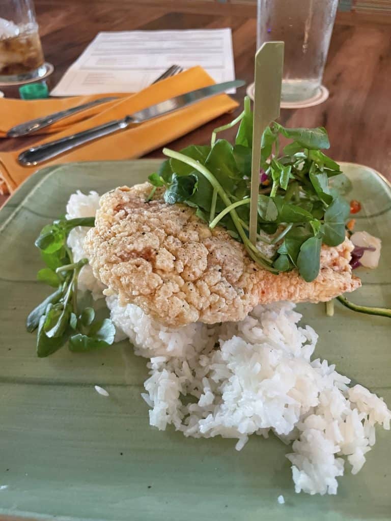 Gluten Free Disney World Restaurants, Snacks and Special Events 2023