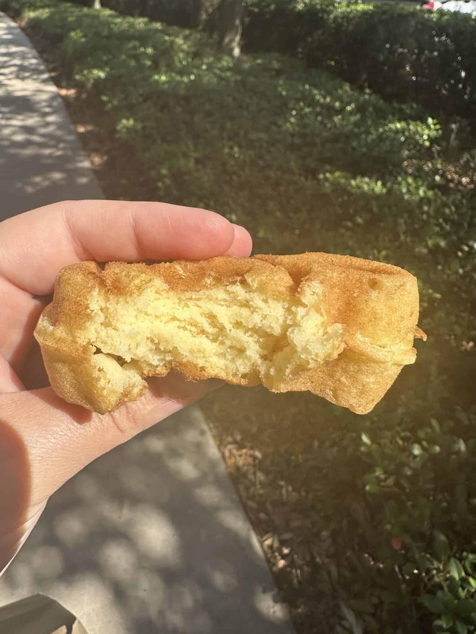 New Mickey Waffle Mix at Disney! Gluten Free and Allergen Friendly 2023