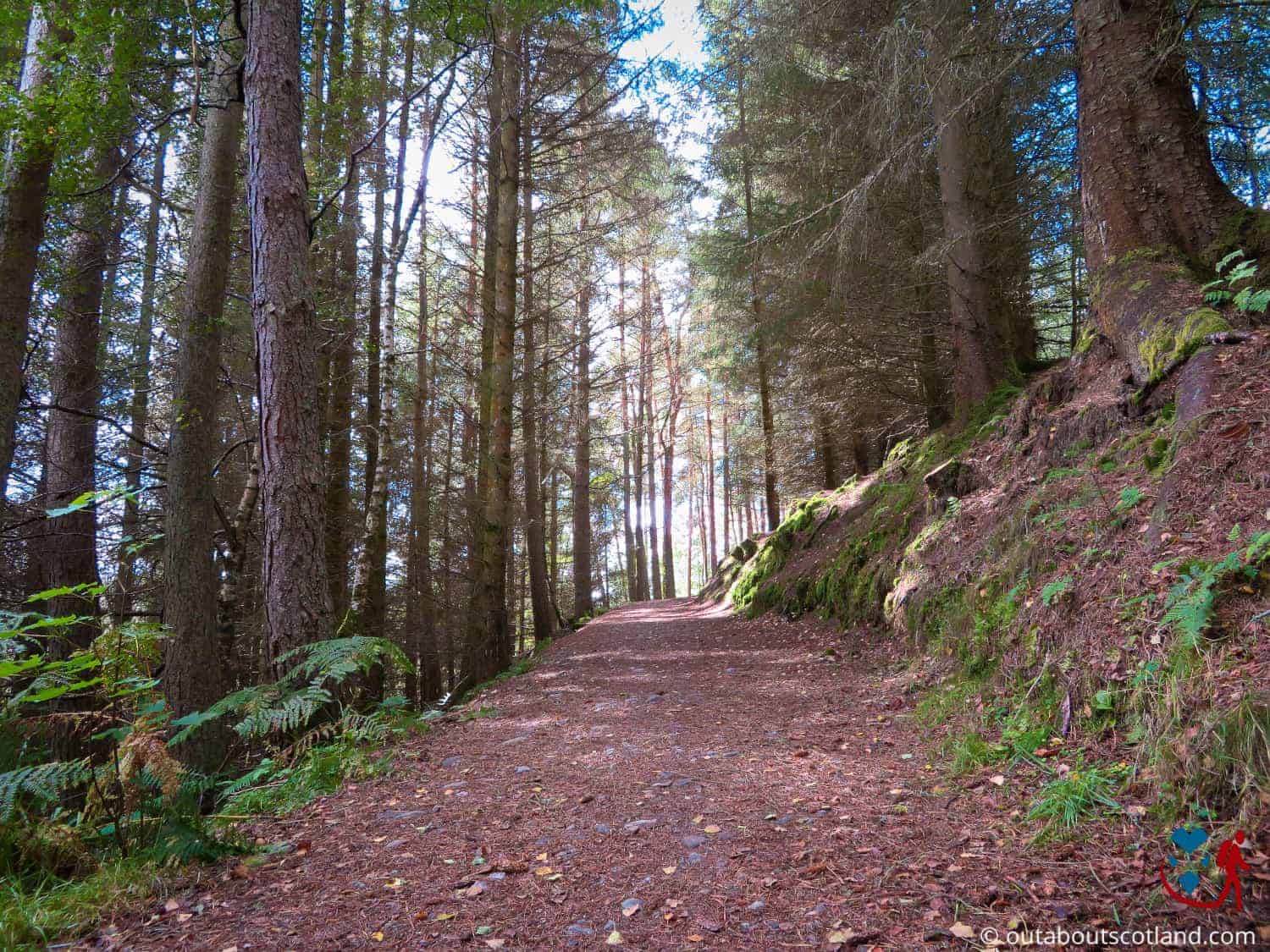 The Hermitage Forest Perthshire Complete Visitor Guide Out About