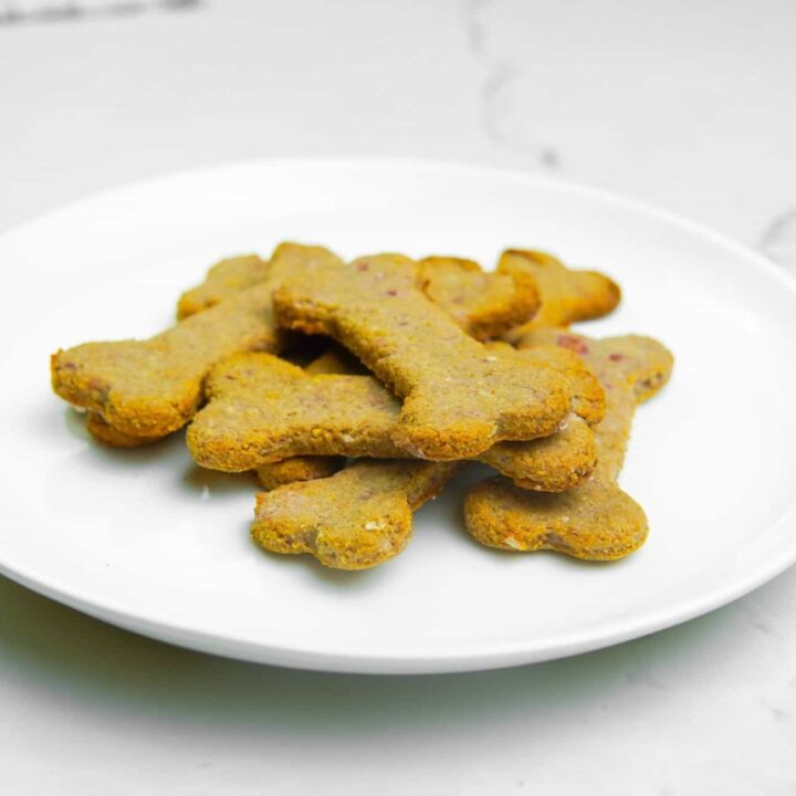 homemade dog treats vet