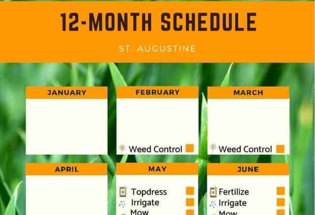 St Augustine Lawn Care Fertilizer Schedule Free Printable 