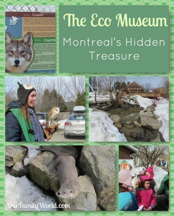 The Eco Museum Montreal S Hidden Treasure In Jul 2021 Ourfamilyworld Com