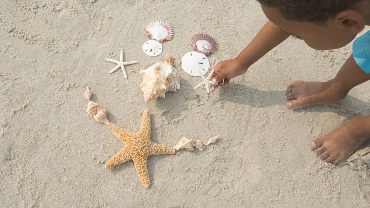 5 Ocean STEM Activities For Kindergarten - Oceans Of Fun!