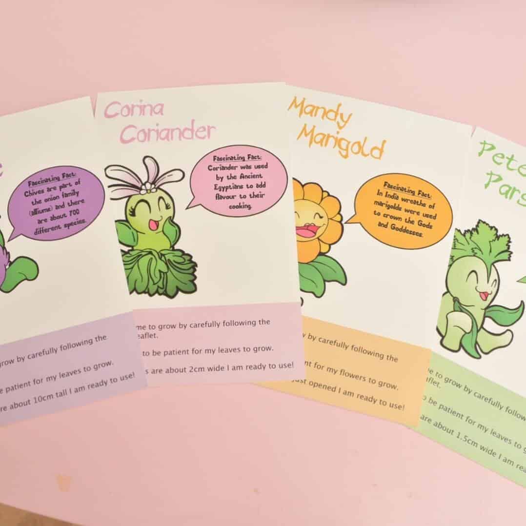 Easy Herbs To Grow With Kids · The Inspiration Edit