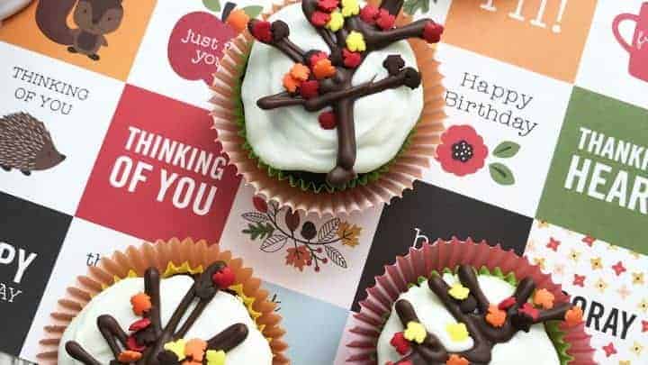autumn fall cupcakes