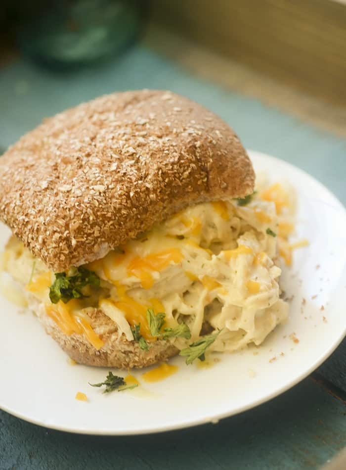 Tasty Weight Watchers Crock Pot Recipes · The Inspiration Edit