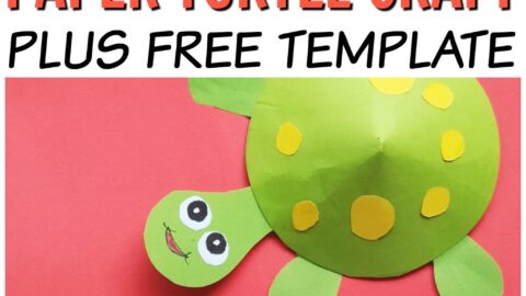 Paper Turtle Craft to Do with Kids · The Inspiration Edit