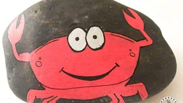 crab on a rock