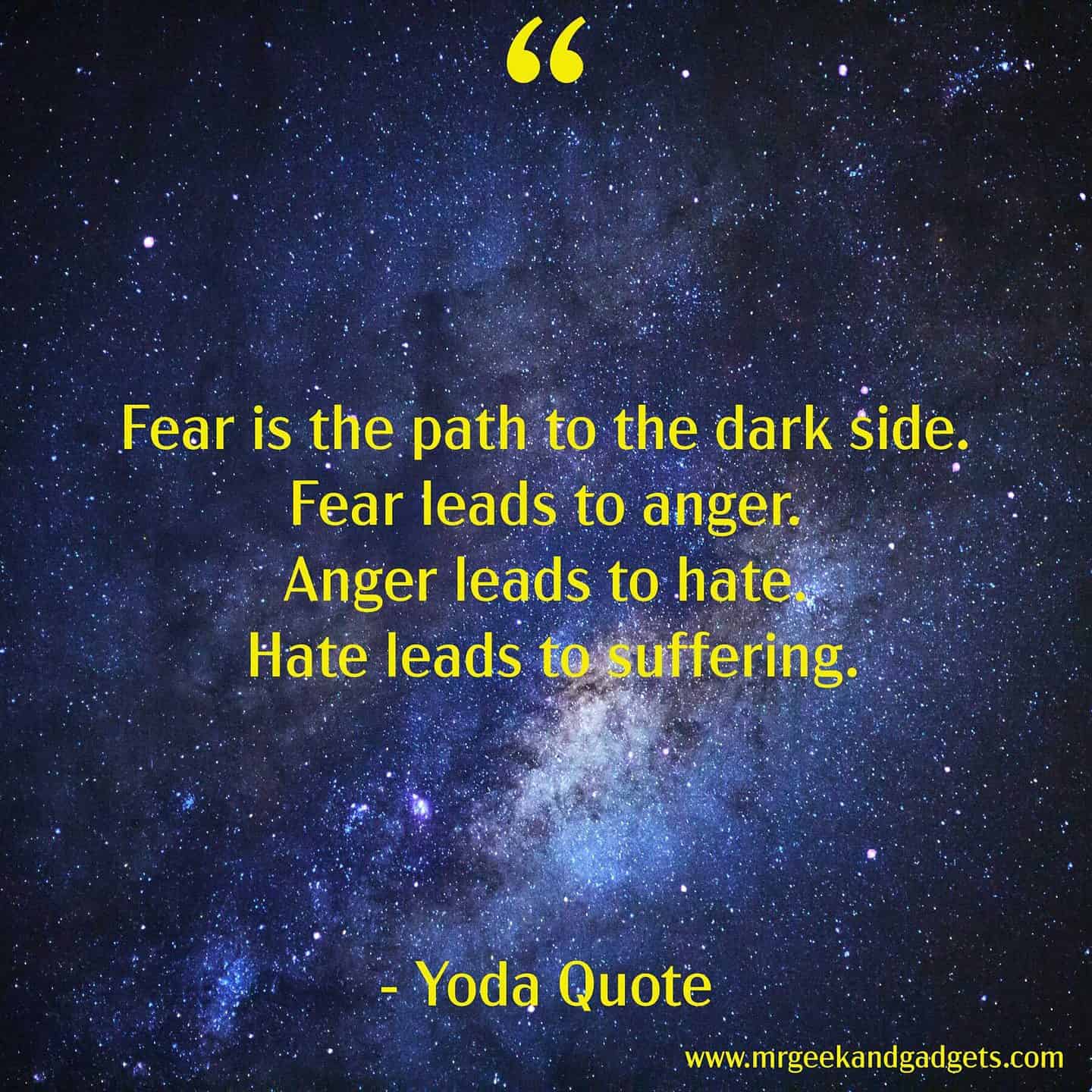 Fear is the path to the dark side Fear leads to anger Anger leads to hate Hate leads to suffering