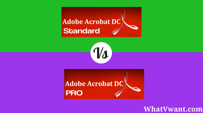 adobe reader vs acrobat