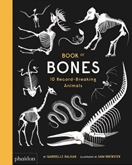 A Book of Bones for Kids to Read.