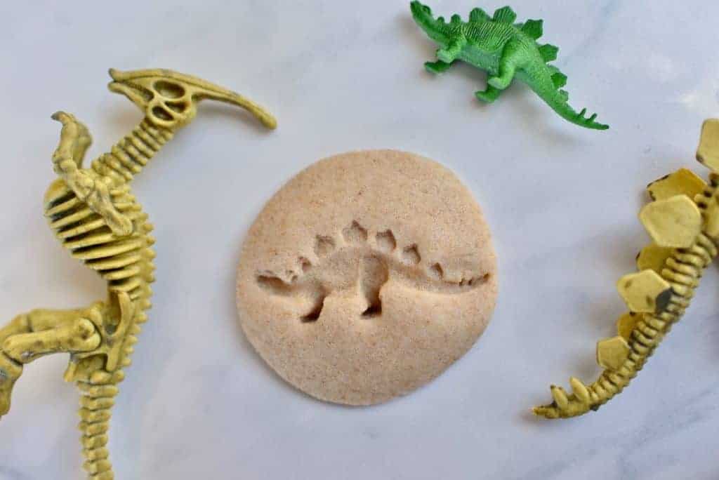 Dinosaur Salt Dough Fossils.