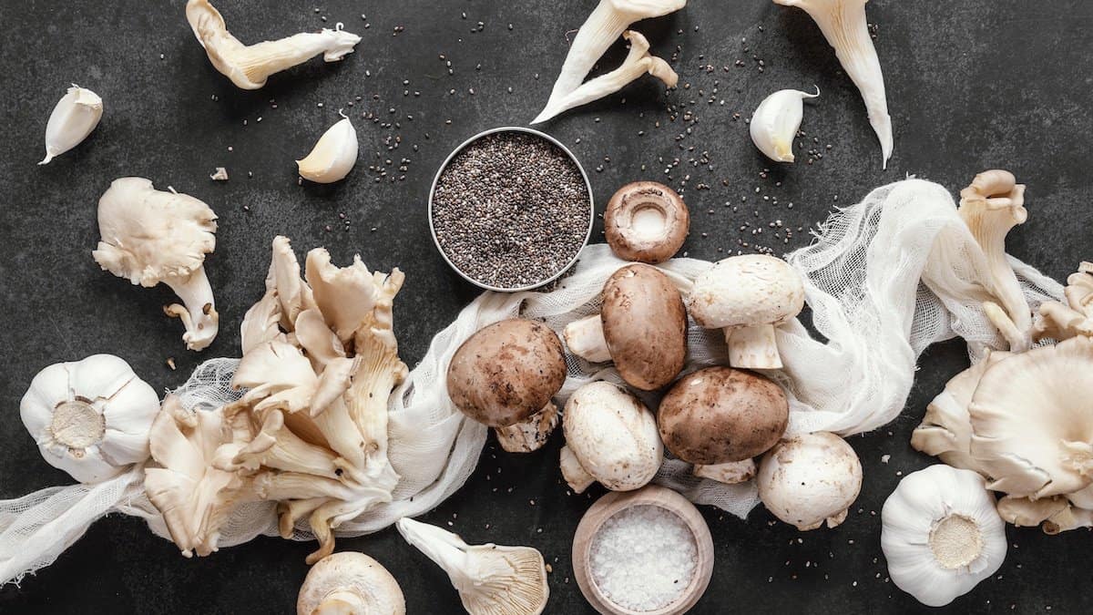 Freshest Mushroom Capsules | A collection of Mushrooms on a counter top.