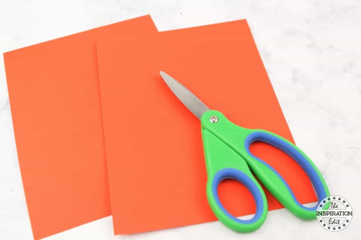 Orange Card for Lorax Craft.