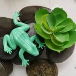 Frog Sensory Bin.