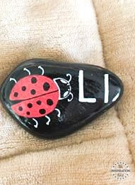 ladybug rock stone