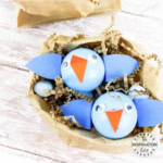 Baby Bird Craft.