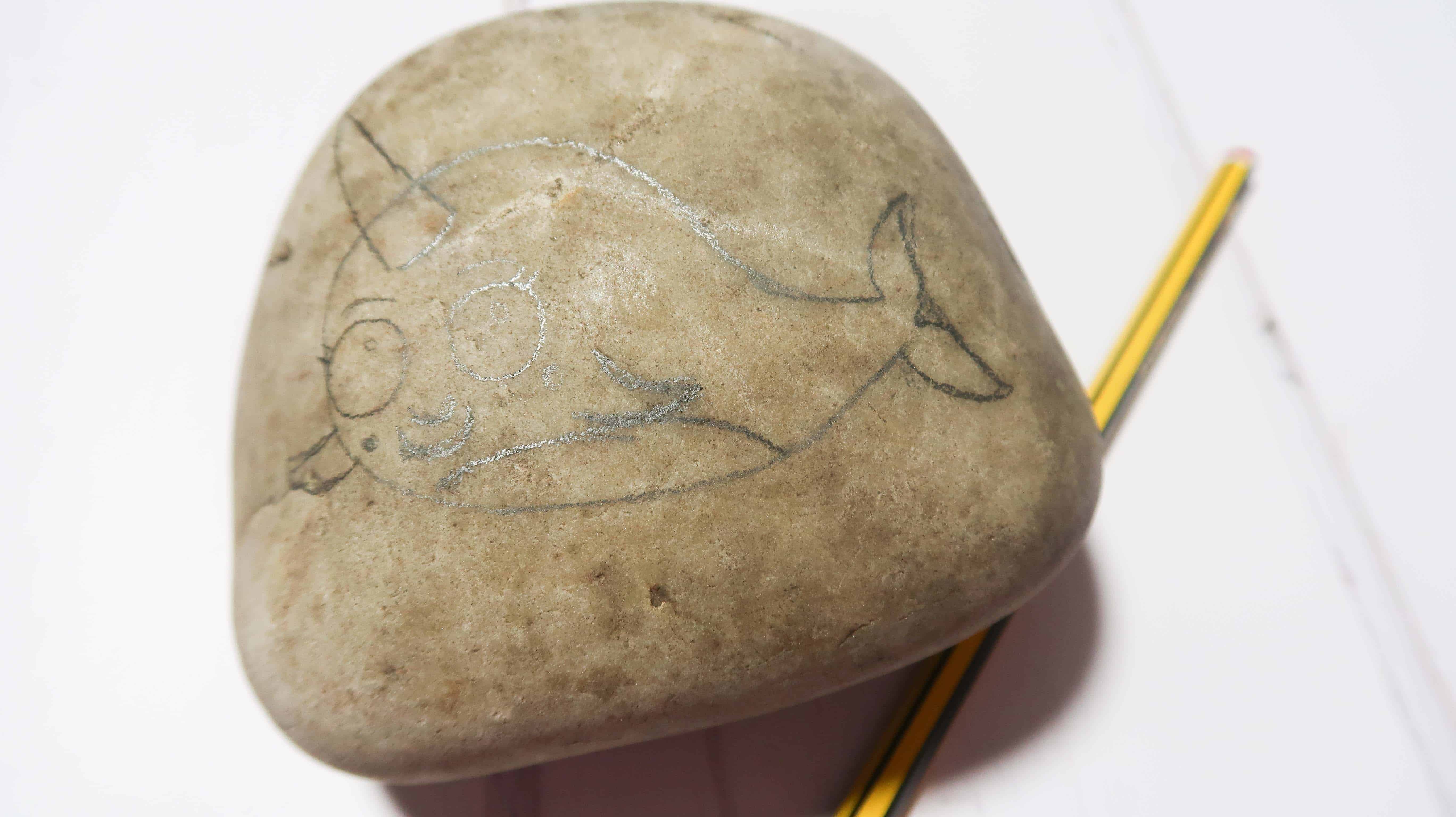 how to draw a narwhal