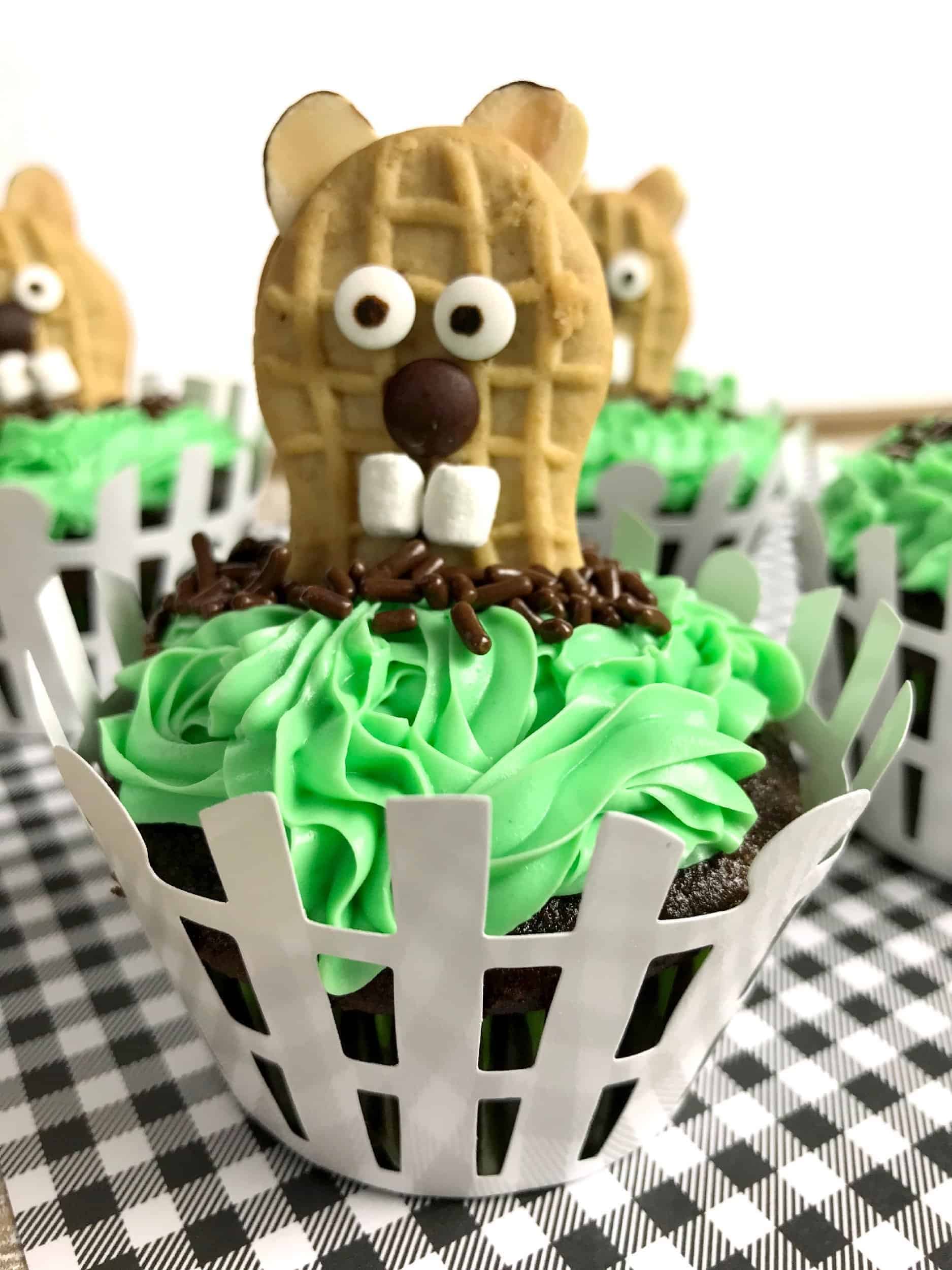 groundhog day cupcakes