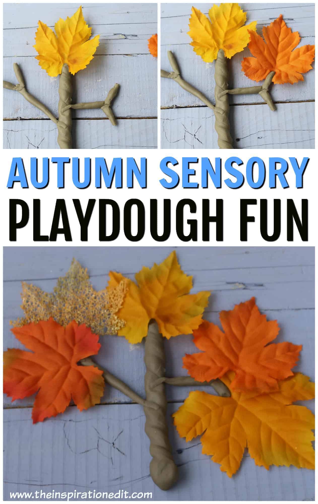 Playdough Craft Perfect for Fall.