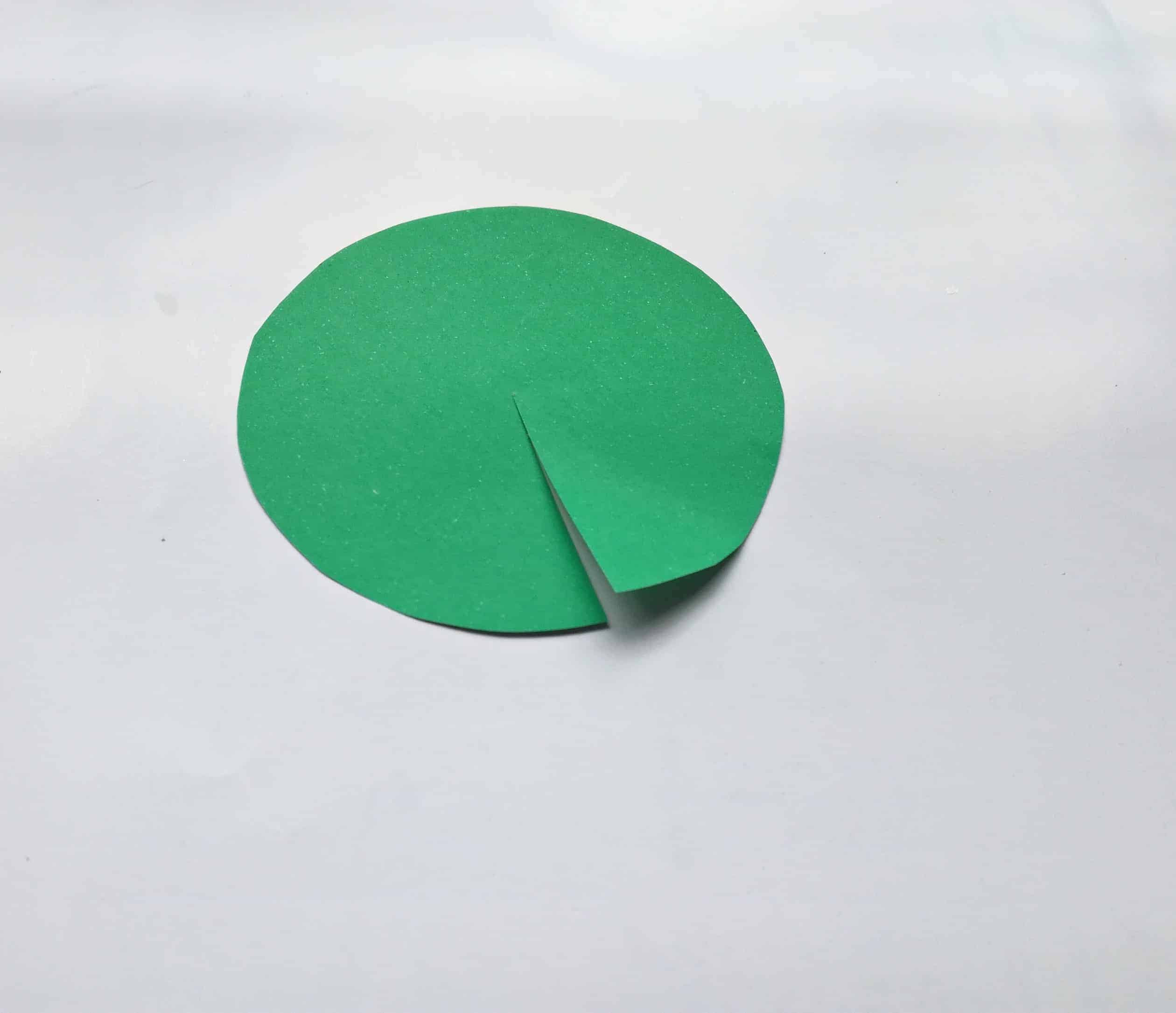 making a paper turtle