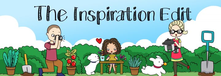 the inspiration edit banner.
