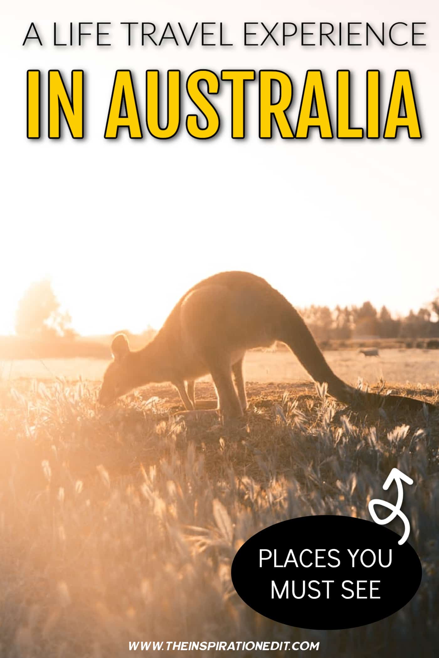 Travel to Australia.