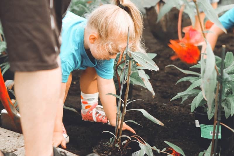 teaching kids about sustainability