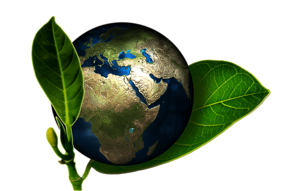 Environmentally Friendly Changes for the Home.