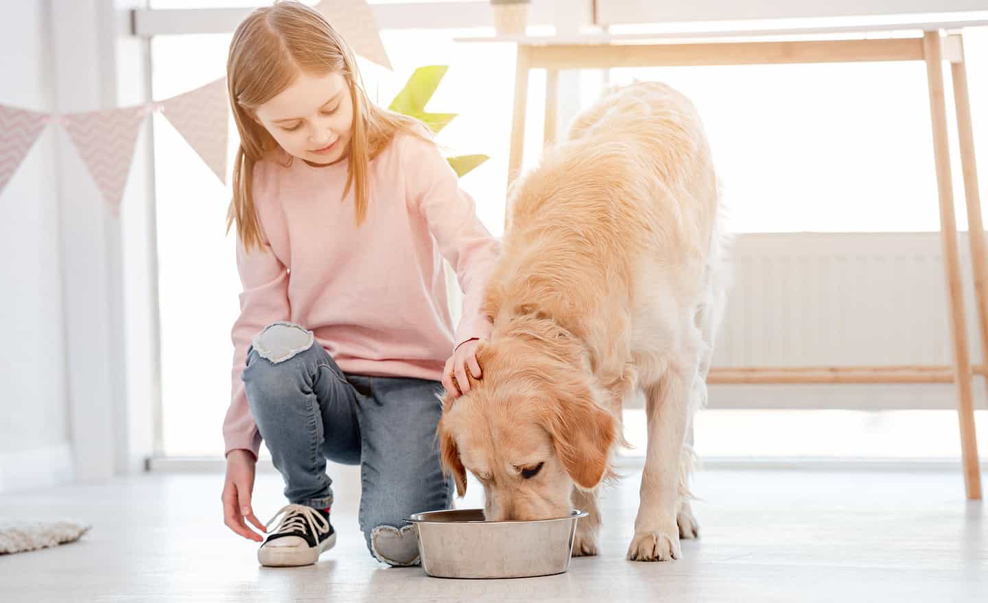 Little Girl Sitting on the Floor and Looking How Golden Retriever Dog Is Eating.