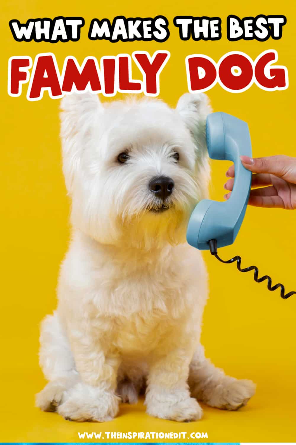 Family Dog.