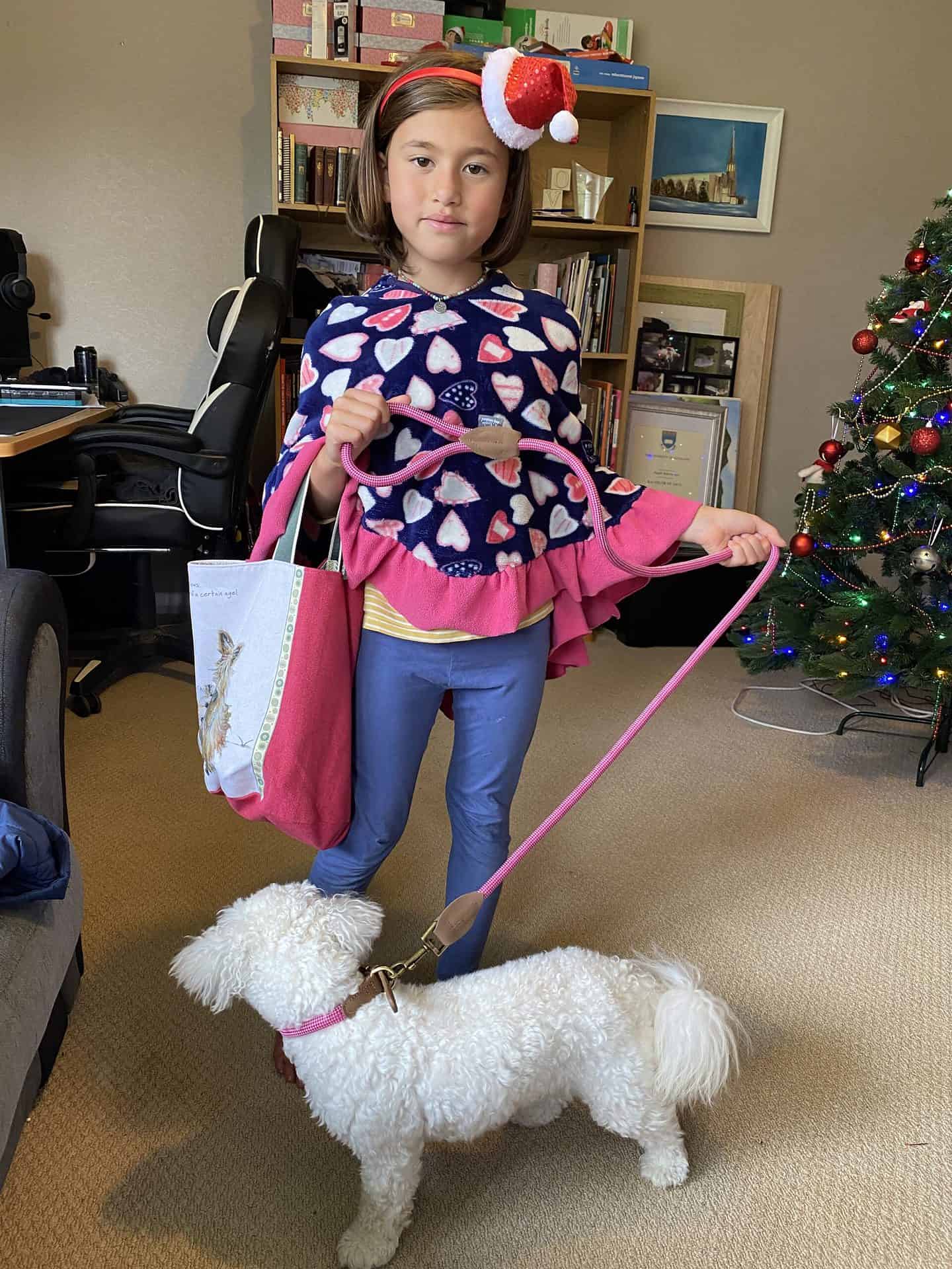 dog owner gifts - dog collar and lead