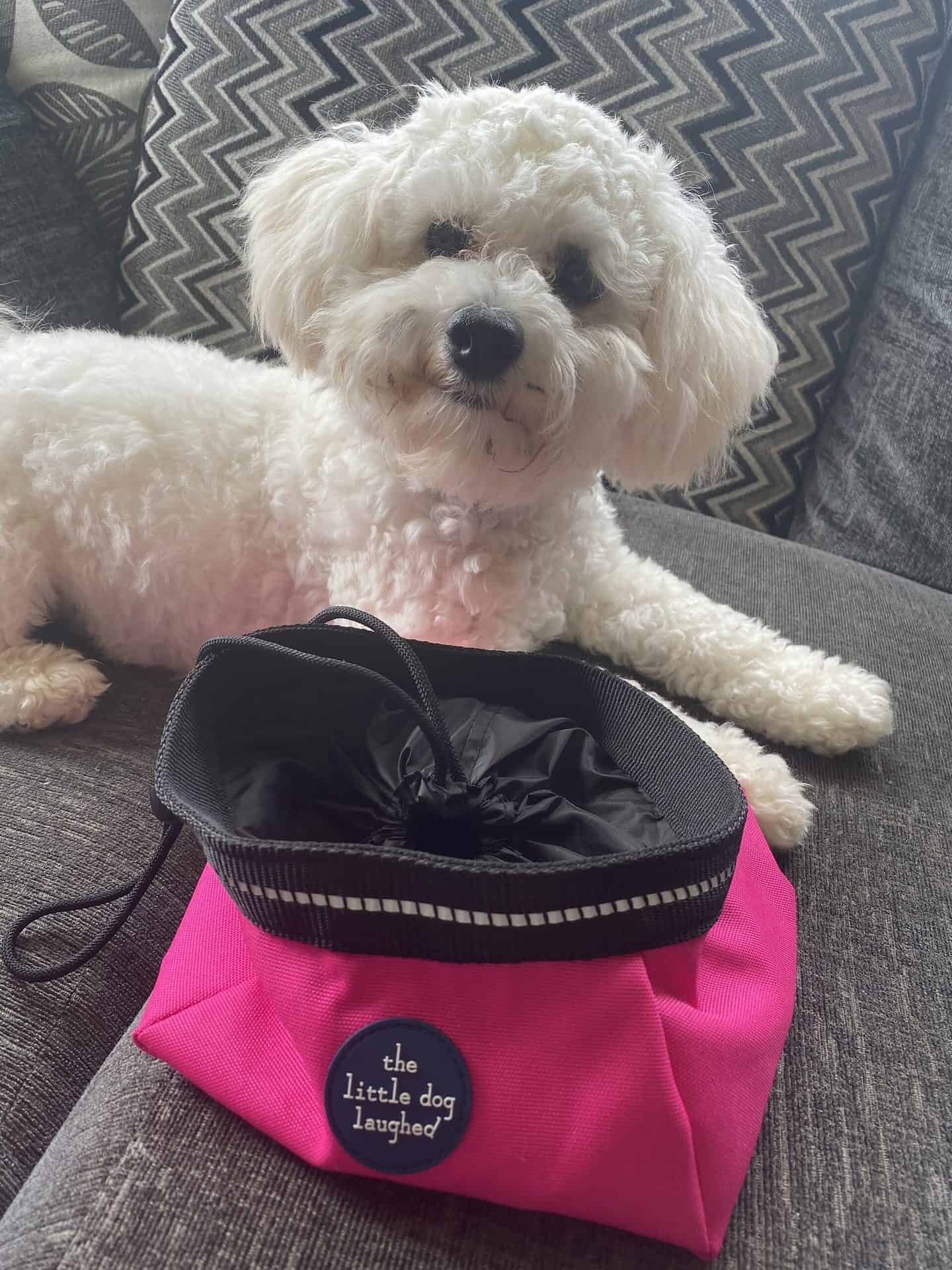 dog owner gifts - dog travel bowl