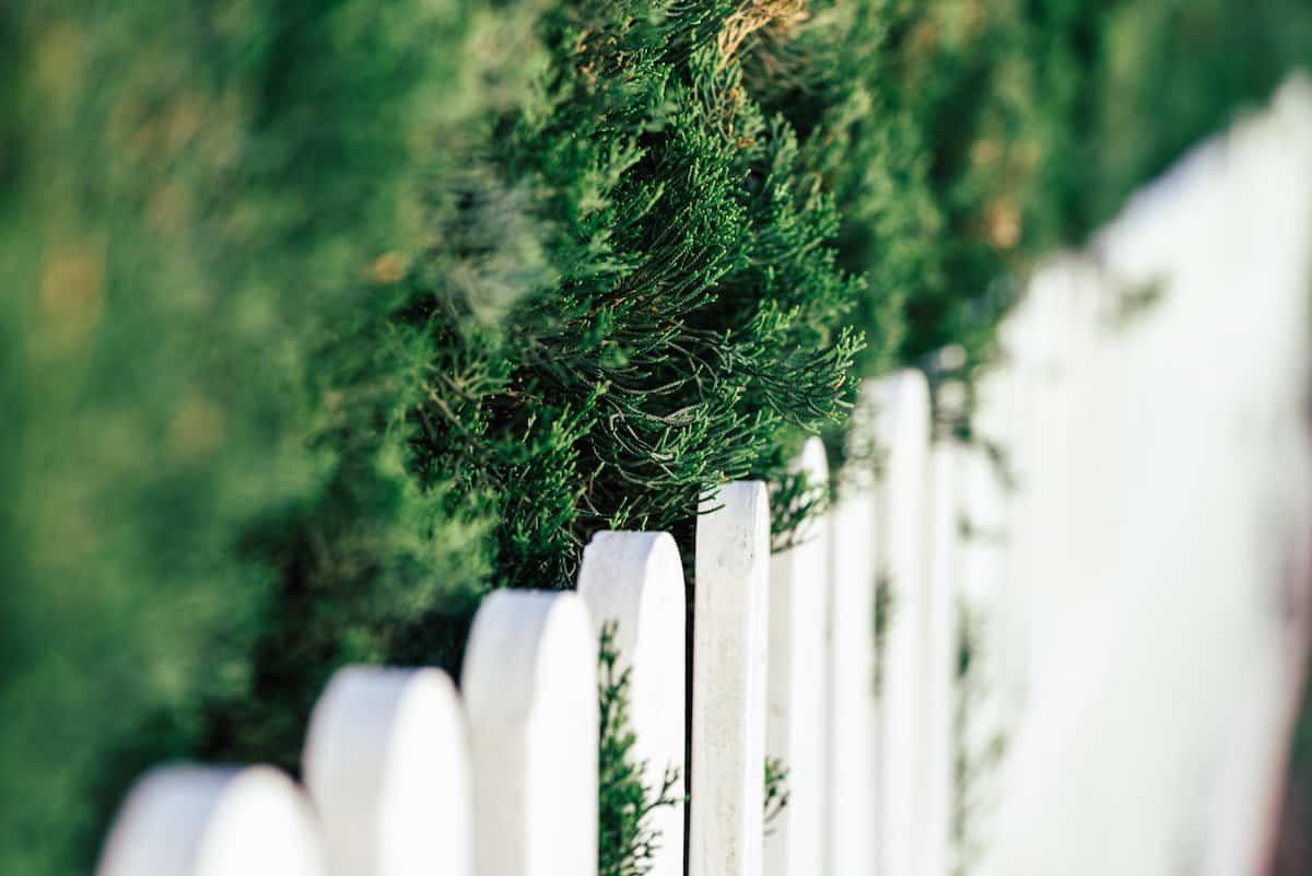 Plastic Fence.