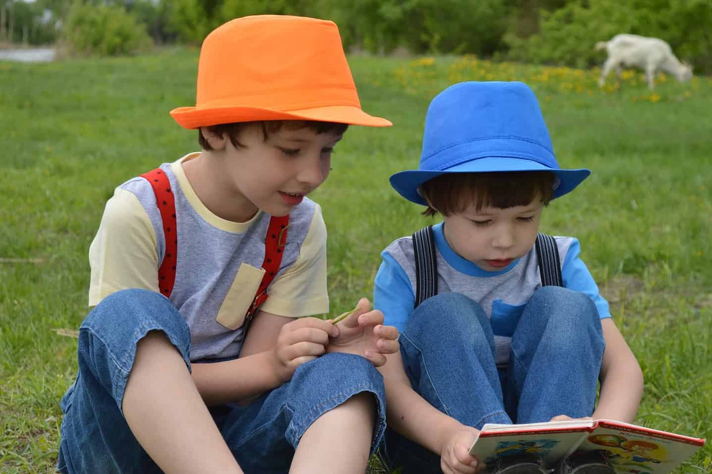 Kids Reading a Book in a Field.