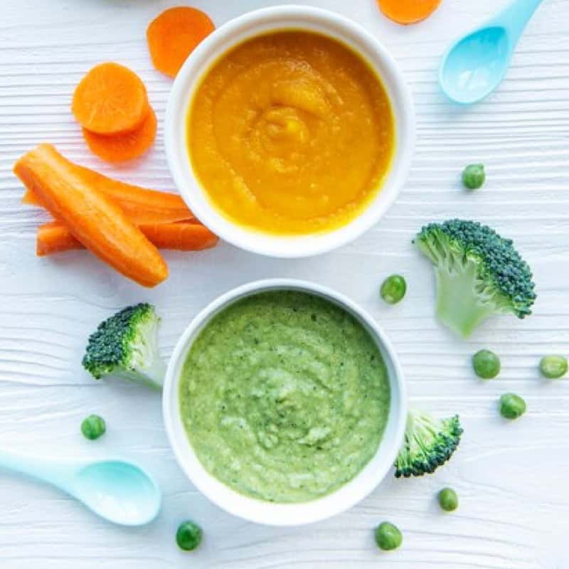 How to Puree Food: A Detailed Guide | The Inspiration Edit