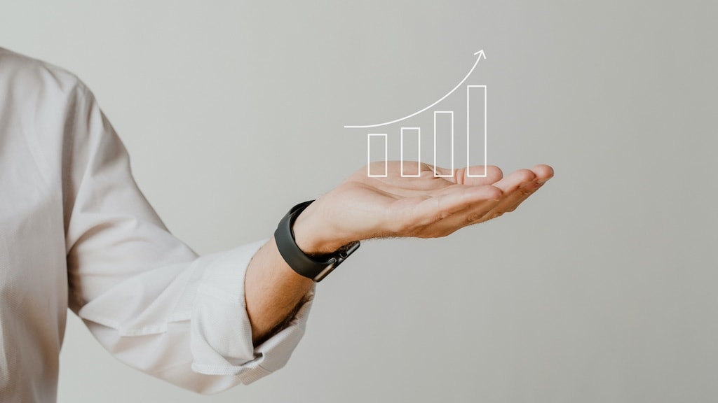 Maximizing Profits and Minimizing Taxes