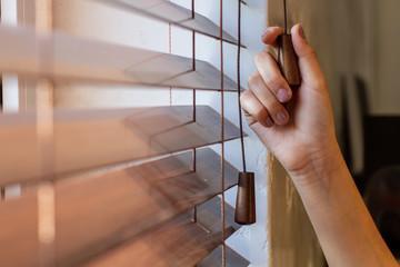 Selecting the Perfect Home Window Treatment.
