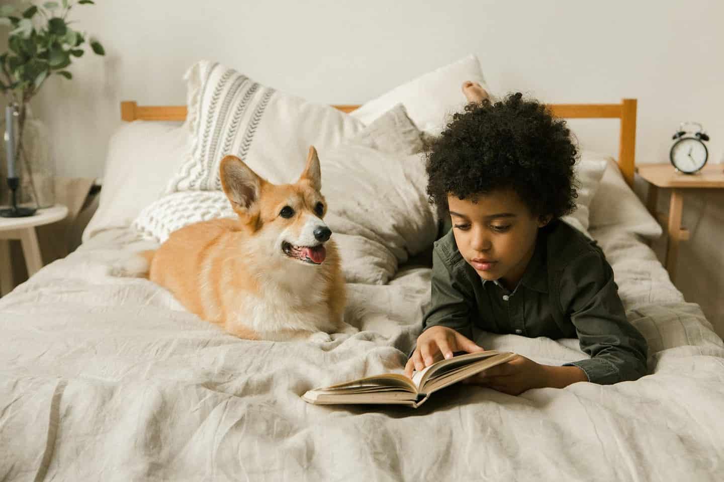 pet care for kids