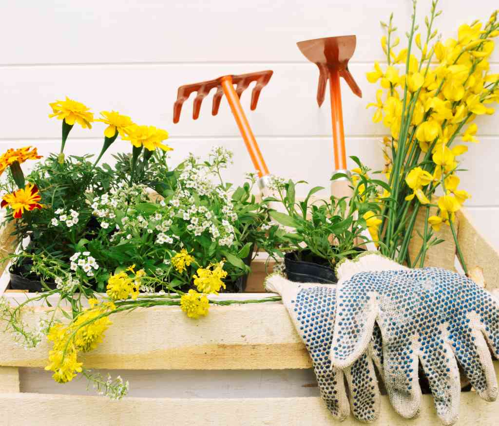 Garden Decorations for Maximum Impact