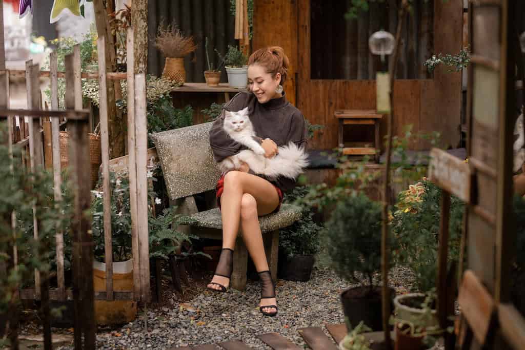Pet That Is Right for You