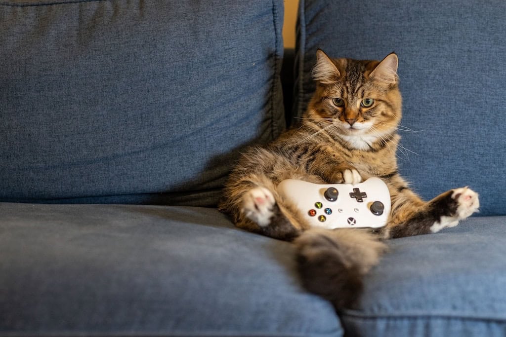 Quickly Improve Your Gaming Experience.