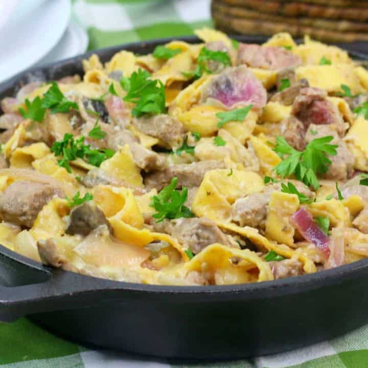 Weight Watchers French Onion Beef Stroganoff.