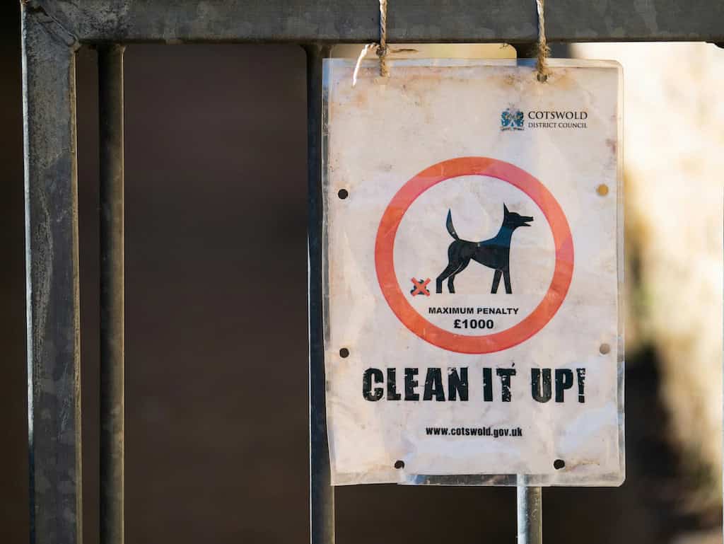 A Sustainable and Eco-Friendly Pet Owner