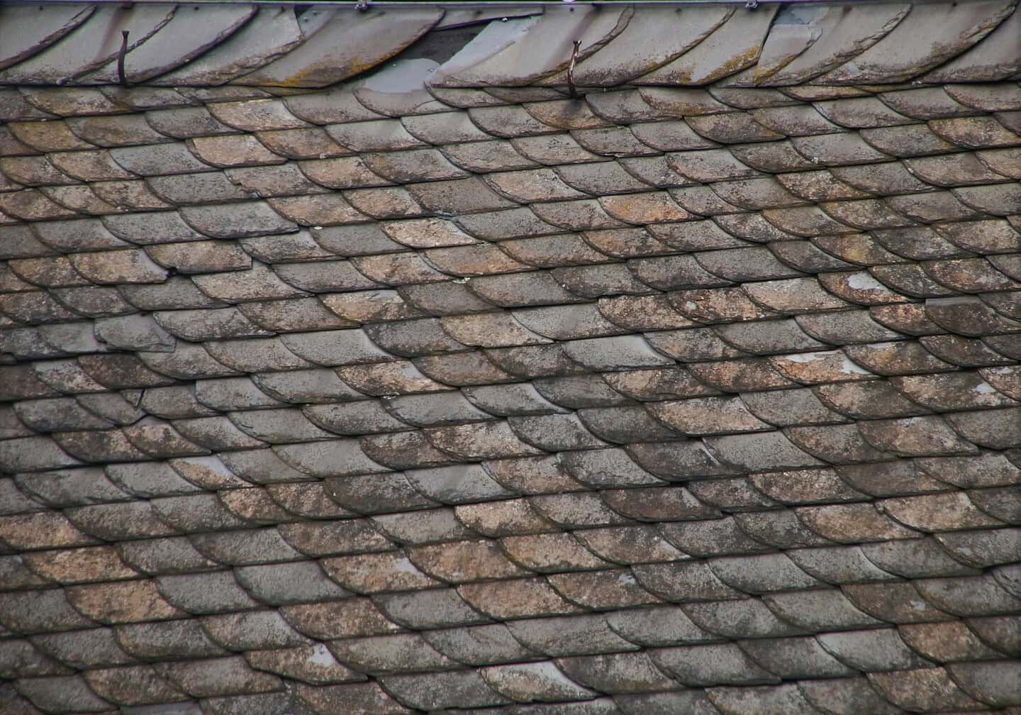 Fixing or Replacing Your Roof